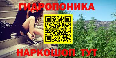 PSILOCYBIN Лесосибирск