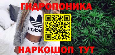 крисы Ливны