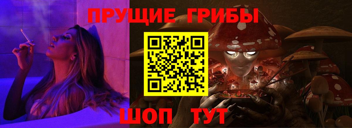 Псилоцибиновые грибы Psilocybe  Вход с VPN  Добрянка 