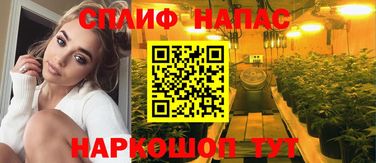 Марихуана семена  Канабис White Widow  Конопля план  Вход с VPN  Каннабис гибрид  Добрянка 